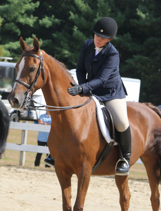 at RRDC horse show in huntseat class line up